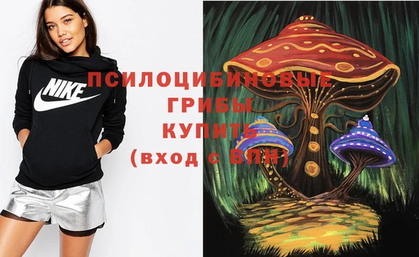 эйфоретик Алексин