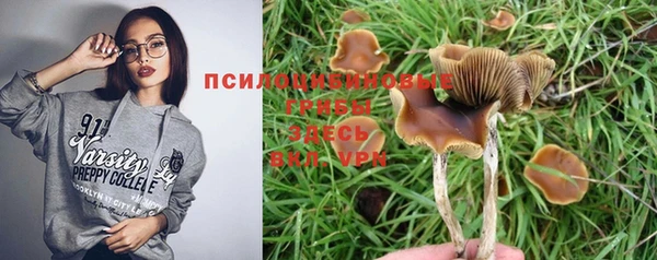 эйфоретик Алексин