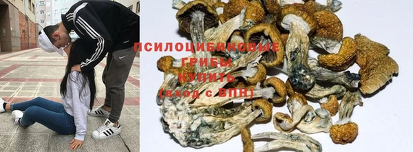mdpv Алзамай